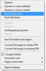 doelopslaanals-195x300