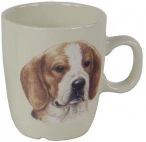 beagle accessoires beagle accessoires