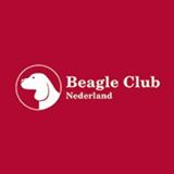 Beagle rasvereniging